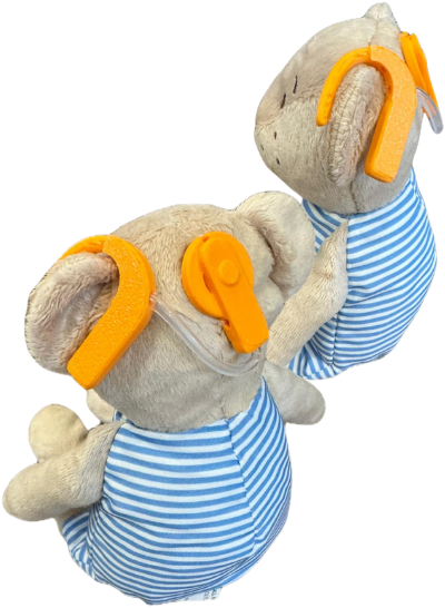 Cochlear Implant & Transducer
